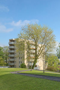 Bild Siedlung Studhalden  2