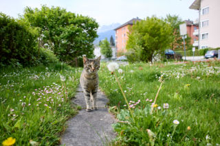 Mut zur Unordentlichkeit