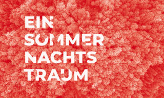 Humor- und Lustvolles auf Tribschen