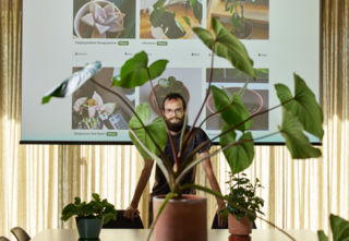 Das Pflänz.li möge gedeihen